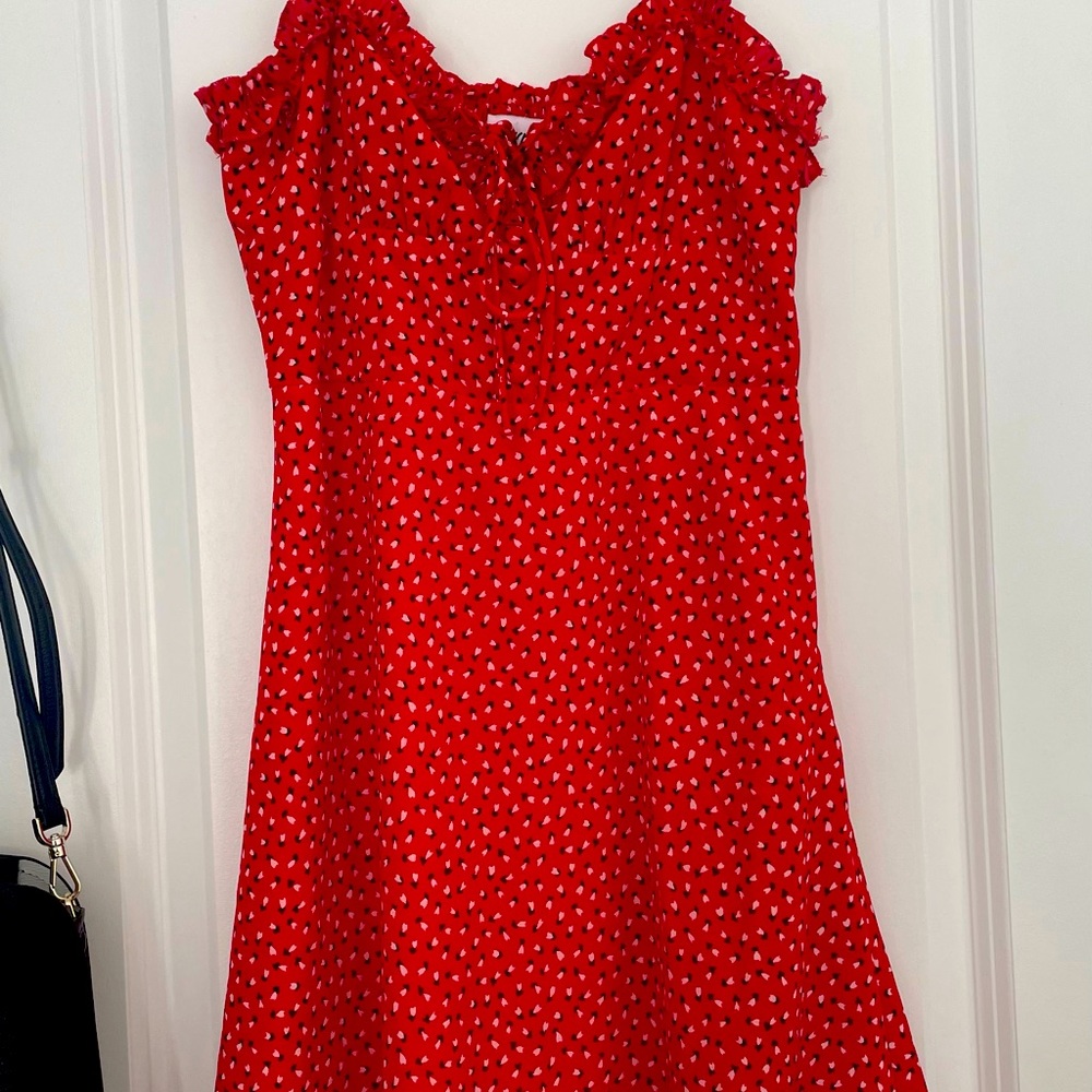 PRINCESS POLLY love birds mini dress